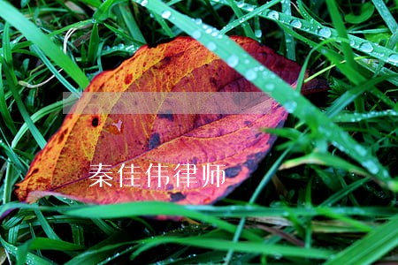 秦佳伟律师 秦佳伟律师