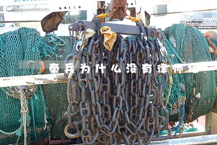 秦兵为什么没有律师证 秦兵为什么没有律师证