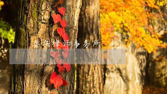 秦兵律师事务所 秦兵律师事务所