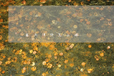 秦兵律师怎么样 秦兵律师怎么样