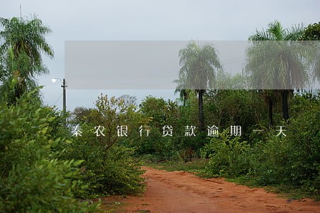 秦农银行贷款逾期一天 秦农银行贷款逾期一天