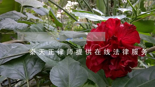 秦天正律师提供在线法律服务 秦天正律师提供在线法律服务