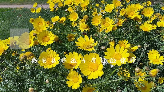 秦安县非法占有诉讼律师 秦安县非法占有诉讼律师