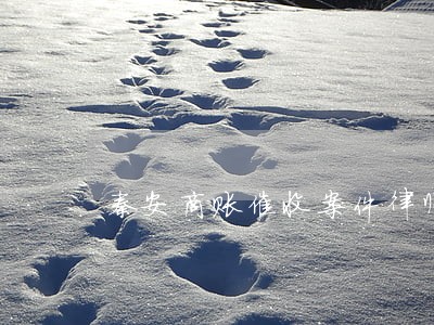 秦安商账催收案件律师