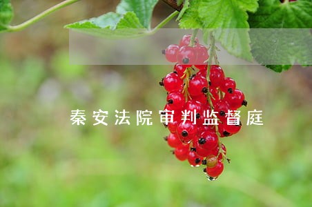 秦安法院审判监督庭 秦安法院审判监督庭