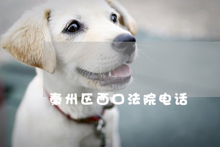 秦州区西口法院电话