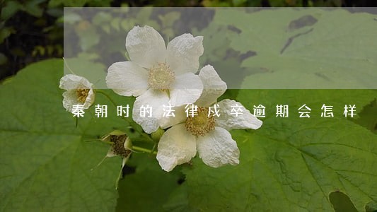 秦朝时的法律戍卒逾期会怎样 秦朝时的法律戍卒逾期会怎样