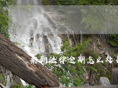秦朝法律逾期怎么处罚 秦朝法律逾期怎么处罚