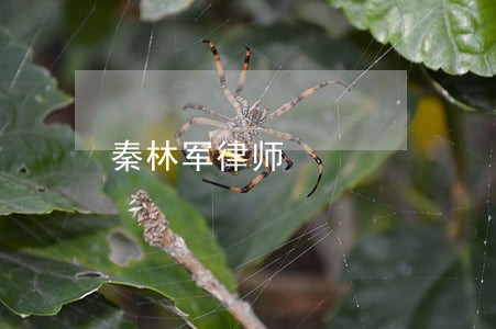 秦林军律师 秦林军律师