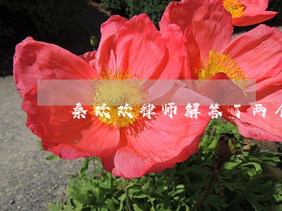 秦欢欢律师解答了两个孩子 秦欢欢律师解答了两个孩子