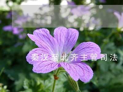 秦汉至北齐主管司法