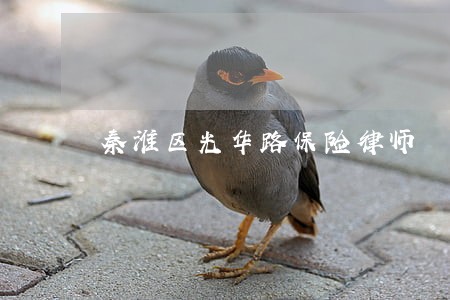 秦淮区光华路保险律师 秦淮区光华路保险律师