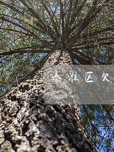 秦淮区欠款合同纠纷服务费 秦淮区欠款合同纠纷服务费