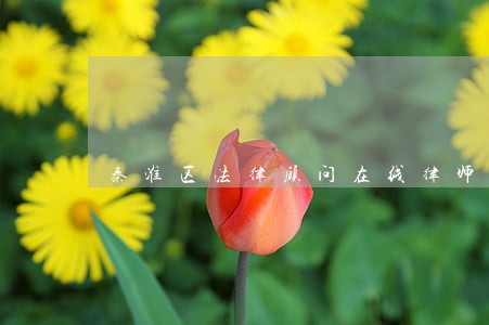 秦淮区法律顾问在线律师 秦淮区法律顾问在线律师