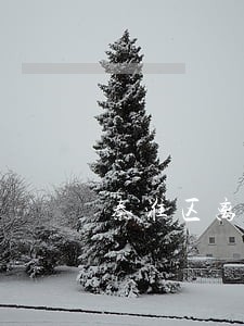 秦淮区离婚房产律师