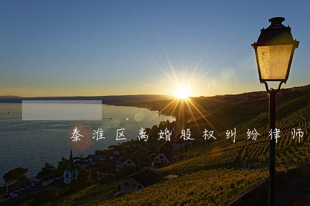 秦淮区离婚股权纠纷律师排名 秦淮区离婚股权纠纷律师排名