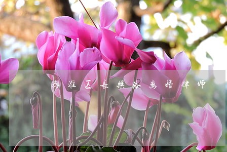 秦淮区长乐路离婚律师 秦淮区长乐路离婚律师