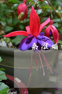 秦淮婚姻法律咨询律师 秦淮婚姻法律咨询律师