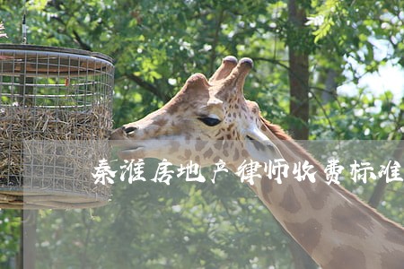 秦淮房地产律师收费标准 秦淮房地产律师收费标准