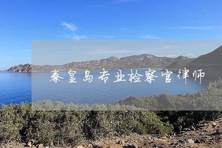 秦皇岛专业检察官律师