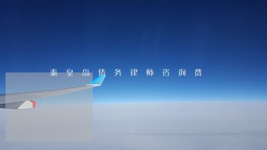 秦皇岛债务律师咨询费 秦皇岛债务律师咨询费