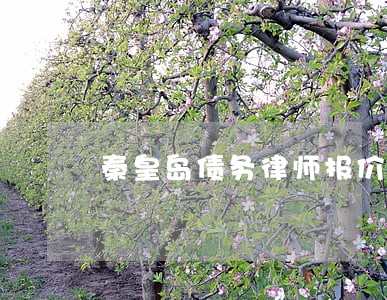 秦皇岛债务律师报价 秦皇岛债务律师报价