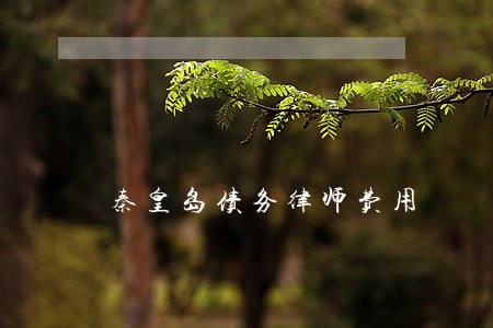 秦皇岛债务律师费用 秦皇岛债务律师费用