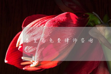 秦皇岛免费律师咨询 秦皇岛免费律师咨询