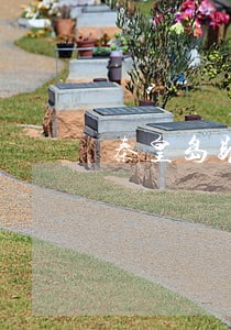 秦皇岛助学贷款逾期 秦皇岛助学贷款逾期