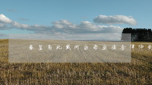 秦皇岛北戴河区专业债务律师费用 秦皇岛北戴河区专业债务律师费用