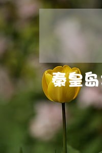秦皇岛北戴河区债务追讨律师 秦皇岛北戴河区债务追讨律师