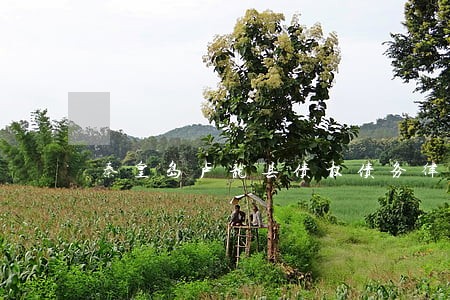 秦皇岛卢龙县债权债务律师哪个好 秦皇岛卢龙县债权债务律师哪个好