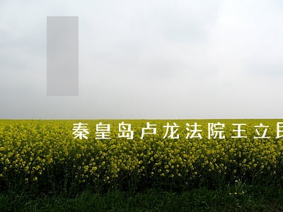 秦皇岛卢龙法院王立民 秦皇岛卢龙法院王立民