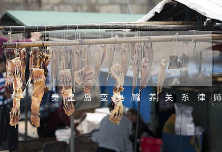 秦皇岛变更赡养关系律师推荐