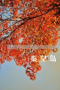 秦皇岛司法所创城报告