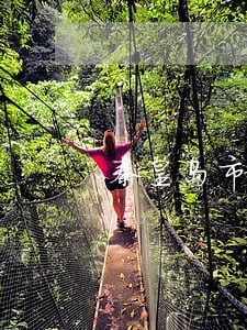 秦皇岛市专业债务律师咨询电话