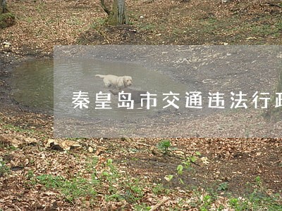 秦皇岛市交通违法行政复议 秦皇岛市交通违法行政复议
