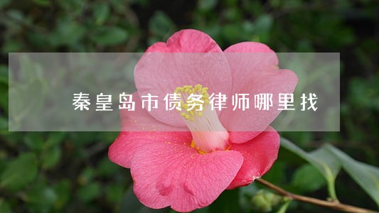 秦皇岛市债务律师哪里找 秦皇岛市债务律师哪里找