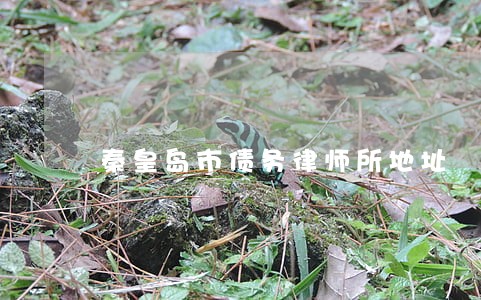 秦皇岛市债务律师所地址 秦皇岛市债务律师所地址