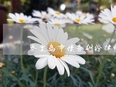秦皇岛市债务纠纷律师收费标准 秦皇岛市债务纠纷律师收费标准