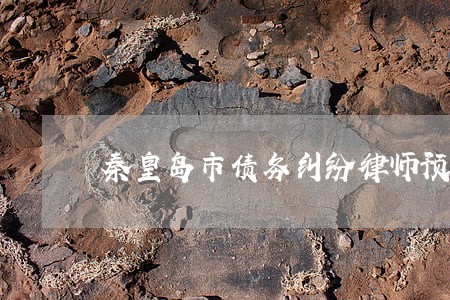 秦皇岛市债务纠纷律师预约电话 秦皇岛市债务纠纷律师预约电话