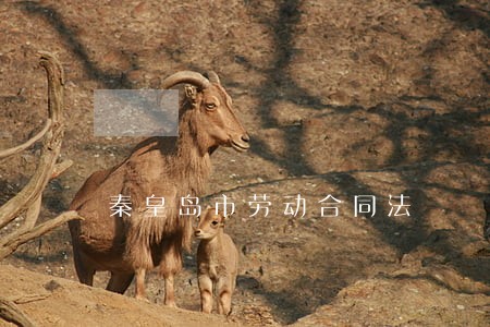 秦皇岛市劳动合同法 秦皇岛市劳动合同法
