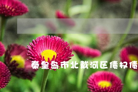 秦皇岛市北戴河区债权债务律师 秦皇岛市北戴河区债权债务律师