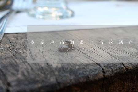 秦皇岛市海港区诉讼资产网 秦皇岛市海港区诉讼资产网