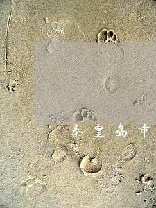 秦皇岛市青龙县开设赌场罪 秦皇岛市青龙县开设赌场罪