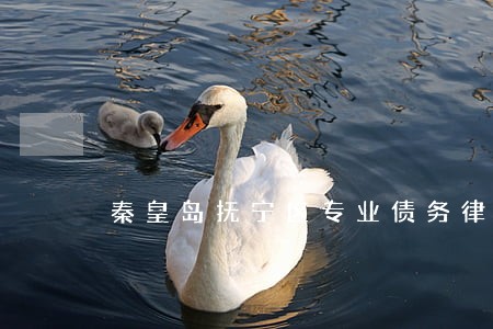 秦皇岛抚宁区专业债务律师所 秦皇岛抚宁区专业债务律师所