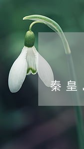 秦皇岛抚宁区债务律师在线咨询