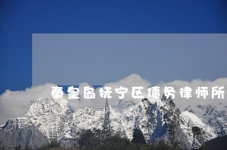 秦皇岛抚宁区债务律师所地址 秦皇岛抚宁区债务律师所地址