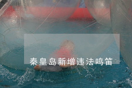 秦皇岛新增违法鸣笛 秦皇岛新增违法鸣笛