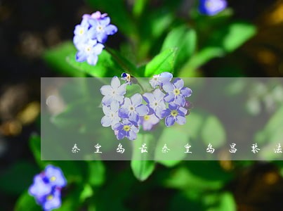 秦皇岛最秦皇岛昌黎法院最近